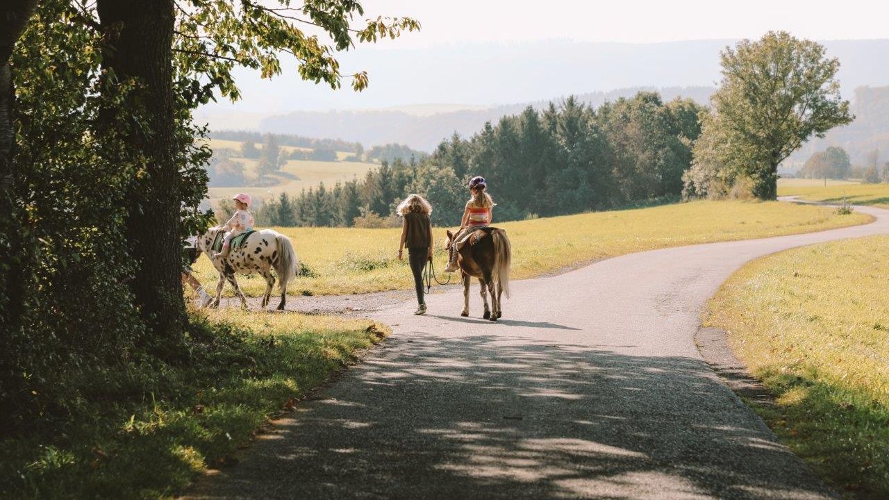 Birkenhof, mit den Ponys auf dem Reitspaziergang Birkenhof, mit den Ponys auf dem Reitspaziergang